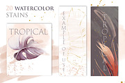 Watercolor Tropical Collection, an Illustration by Les Frolova (Thumbnail 6 of 14)