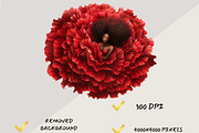 RED CARNATION FAIRY FOREST CLIPART, a Person Illustration by Daring Digies (Thumbnail 6 of 8)