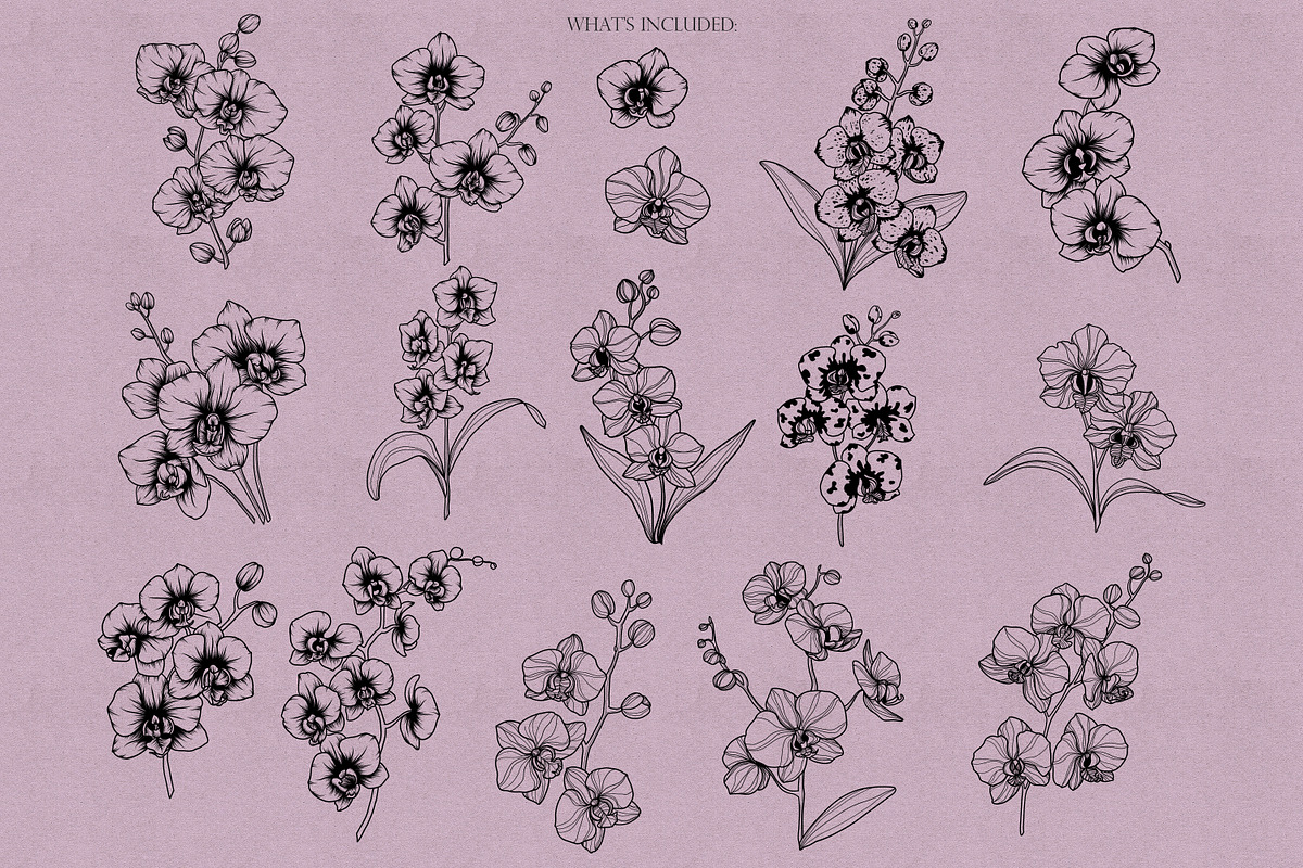 Orchids Procreate Stamps, a Brush Add-On by Dervik Art Store (Photo 3 of 6)
