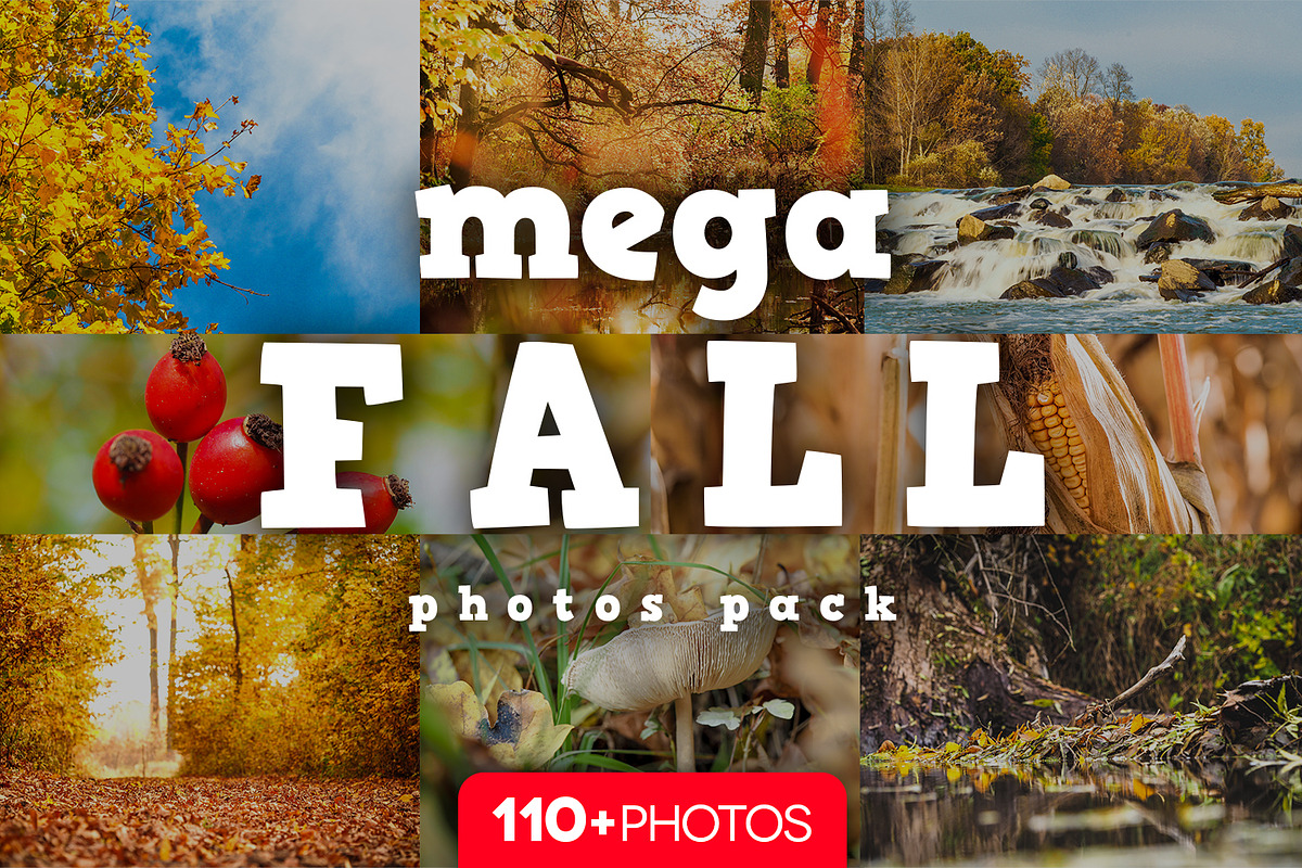 Bundle fall photos /240+pics, a Templates & Theme by tydla (Photo 4 of 11)