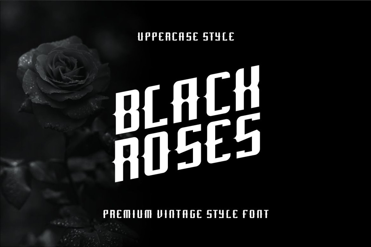 Abevo Font, a Serif Font by alanwarstd (Photo 3 of 5)