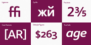 Core Sans BR, a Sans Serif Font by S-Core (Thumbnail 5 of 7)