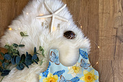Spring into Easter Clipart Set., a Seasonal Illustration by Happy Sloth Graphics (Thumbnail 14 of 17)