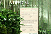 Web Developer Resume Template, a Resume Template by Career Canvas (Thumbnail 2 of 11)