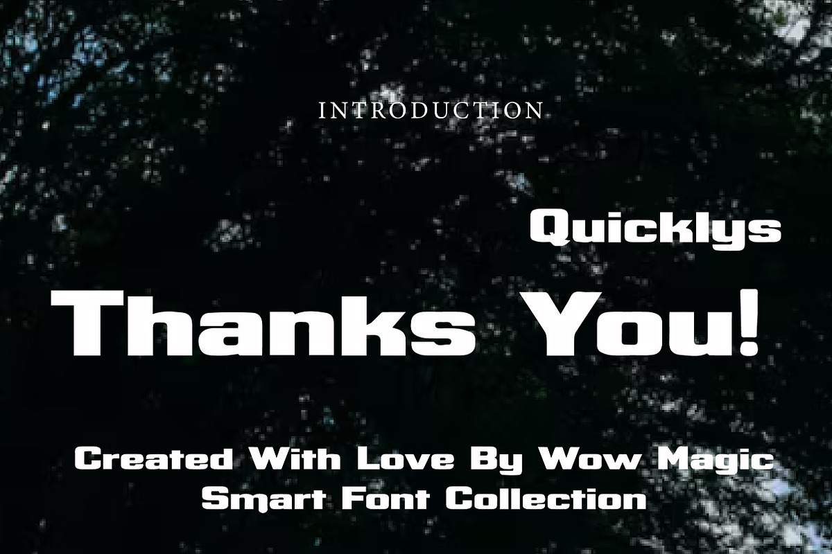 Quicklys, a Serif Font by Wow Magic (Photo 3 of 3)