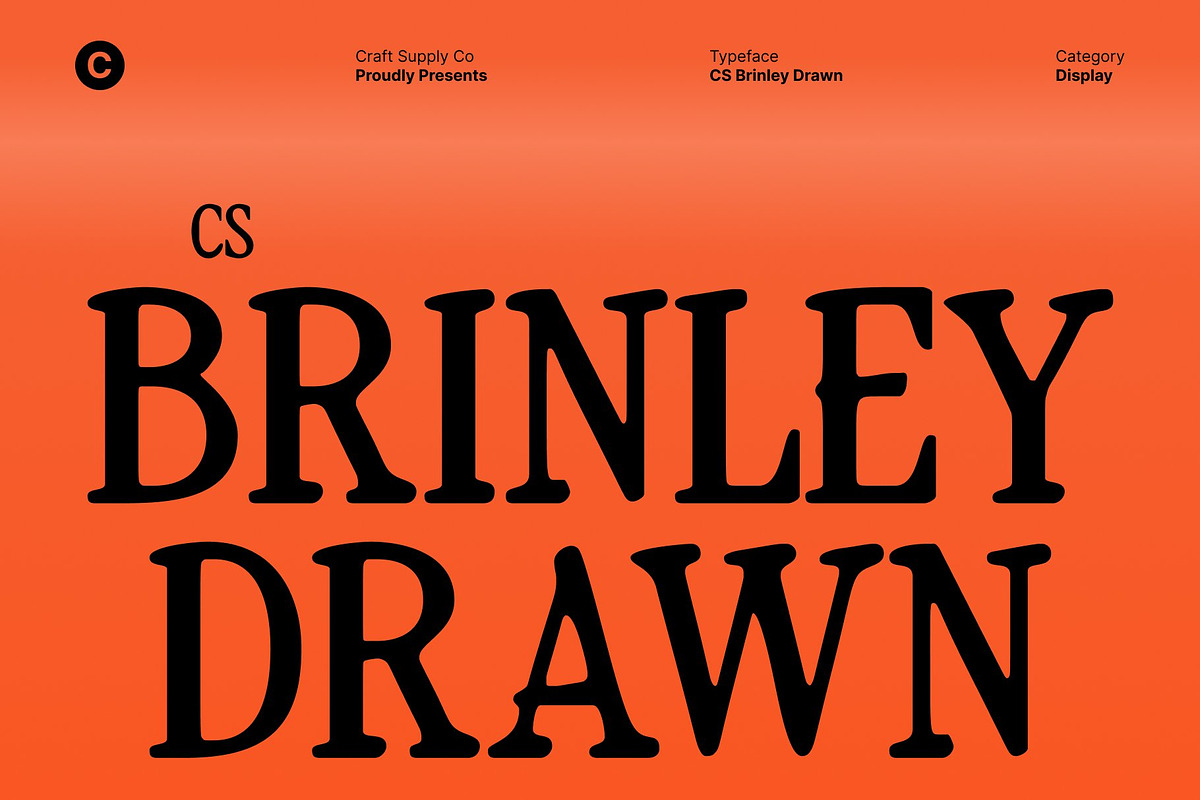 CS Brinley Drawn, a Serif Font by Craft Supply Co. (Photo 1 of 8)
