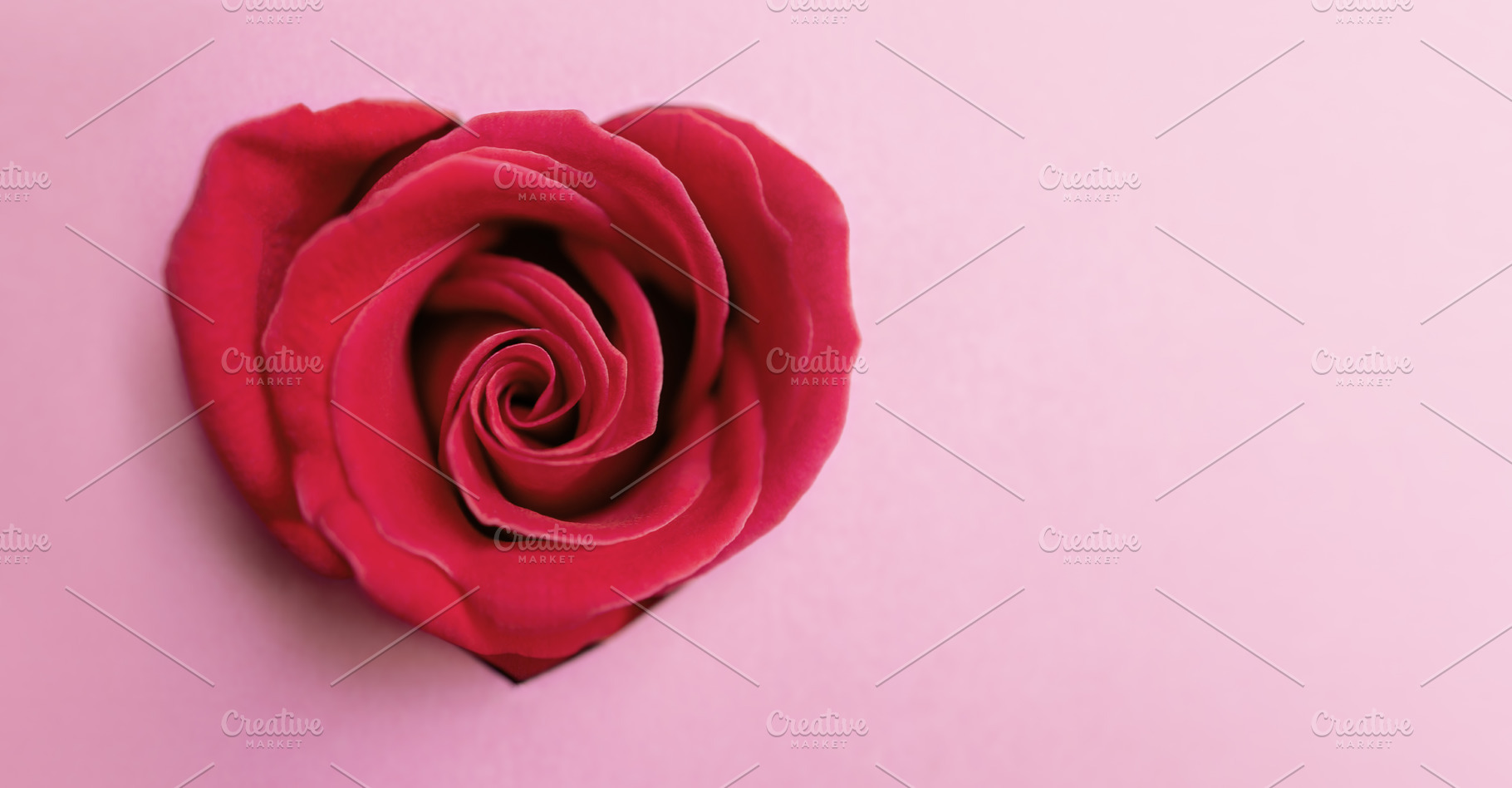 Pink Rose Flower as Heart Shape. Symbol of Love, a Photo by salmon.black