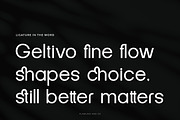Geltivo - Corporate Sans Serif Font, a Sans Serif Font by Flawless And Co (Thumbnail 5 of 10)