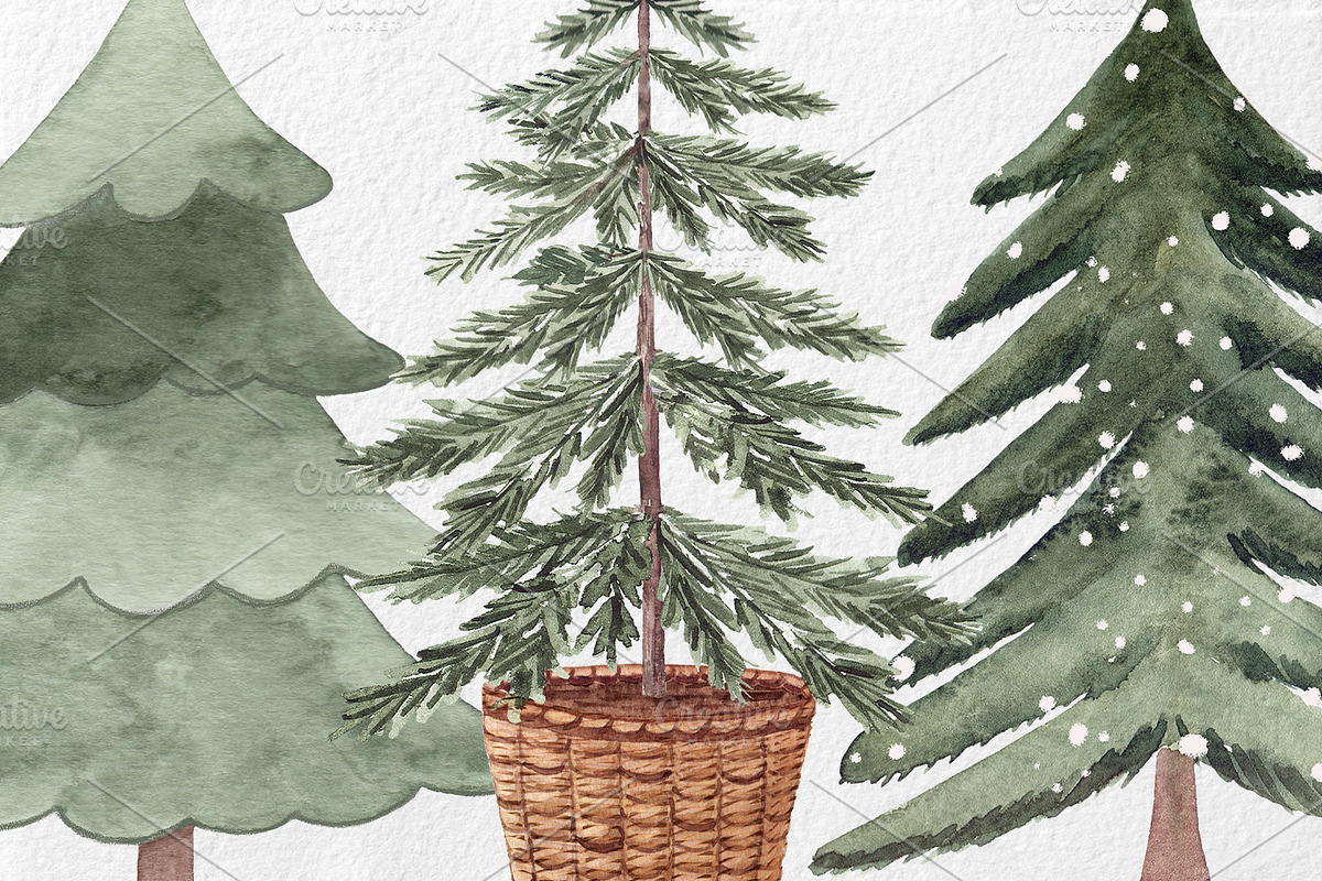 Watercolor Christmas trees, a Decorative Illustration by BrushArtDesigns (Photo 3 of 5)