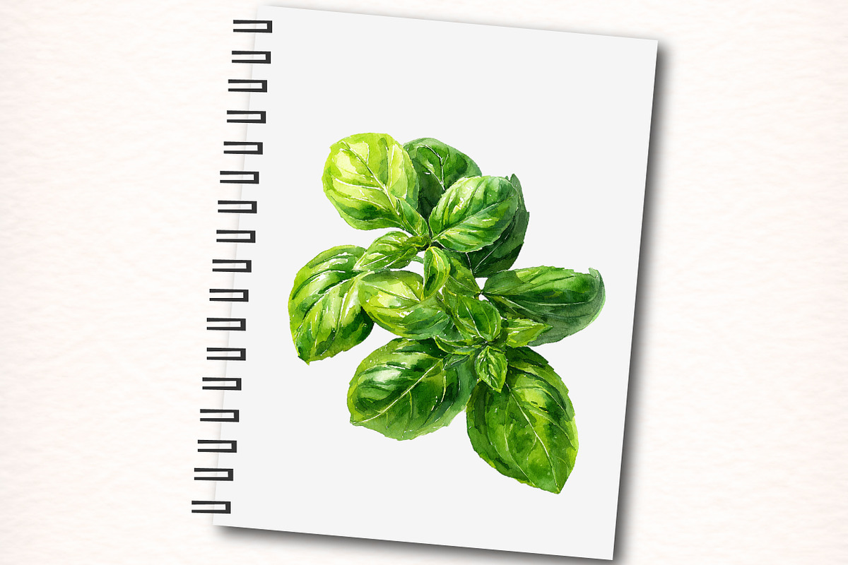 Watercolor Herbs Clipart, an Object Illustration by Digital Artistic99 (Photo 6 of 11)