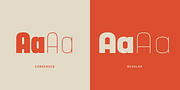 Yoshida Sans, a Sans Serif Font by TypeUnion (Thumbnail 2 of 10)