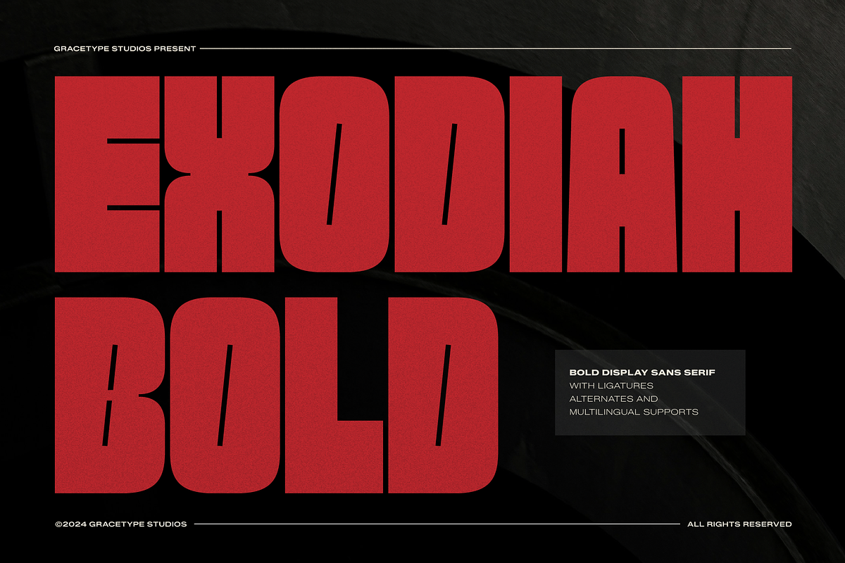 Exodiah | Bold Display Sans Serif, a Sans Serif Font by gracetype_studio (Photo 1 of 12)