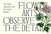 Corner Stories Contrast Serif, a Script Font by Letterhend Studio (Thumbnail 4 of 11)