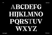 Bold Dignify - Minimalist Calm Serif, a Serif Font by Fridaytype (Thumbnail 6 of 12)
