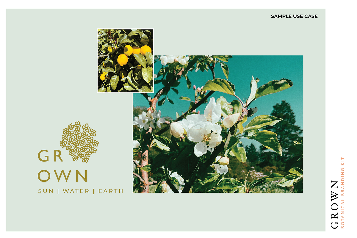 GROWN Plant Logo Branding Kit, a Branding & Logo Template by CC CREATIVE CO (Photo 9 of 9)