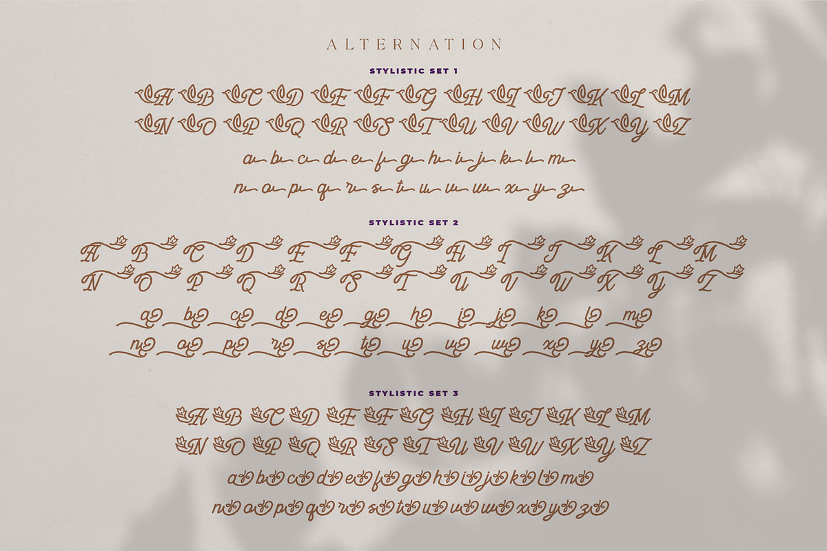 Dianthus Maiden Typeface, a Script Font by alit design (Photo 8 of 17)
