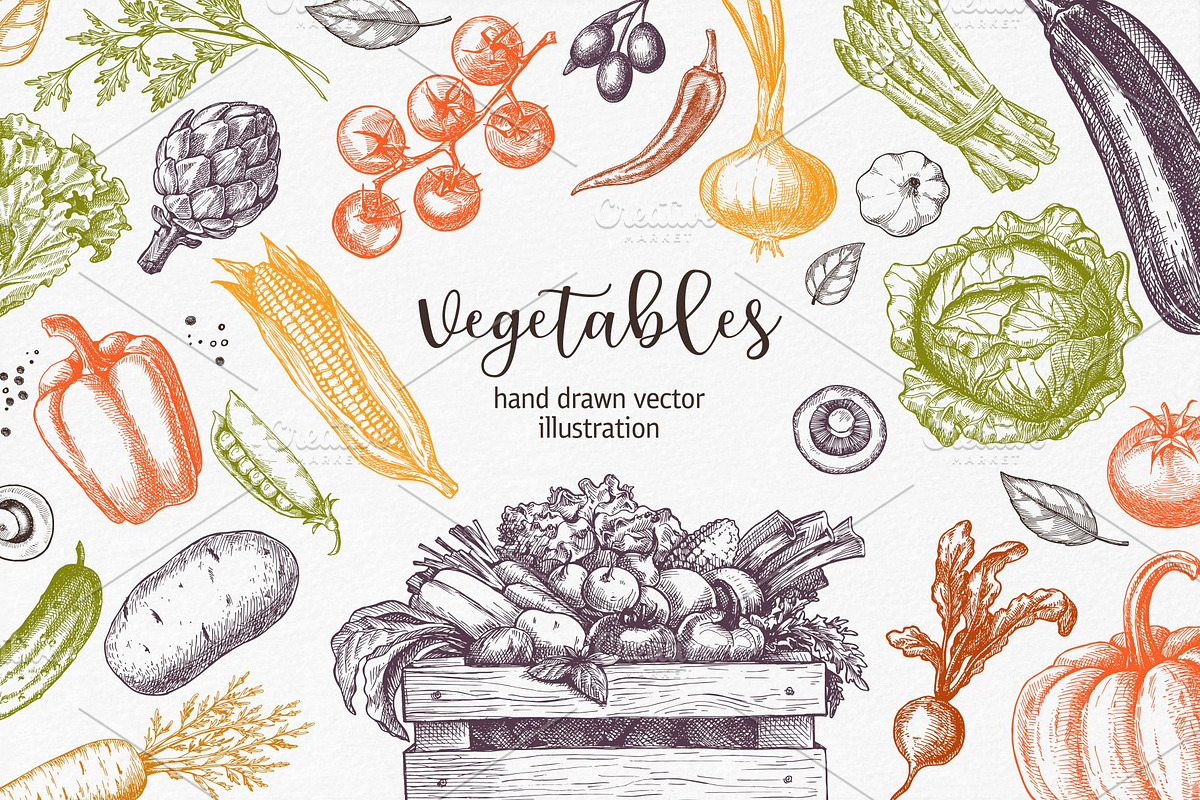 Vegetables. Hand drawn collection., a Food Illustration by natadanko (Photo 1 of 7)