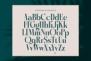 Kozan - Elegant Modern Serif, a Serif Font by timelesstype.co (Thumbnail 7 of 20)