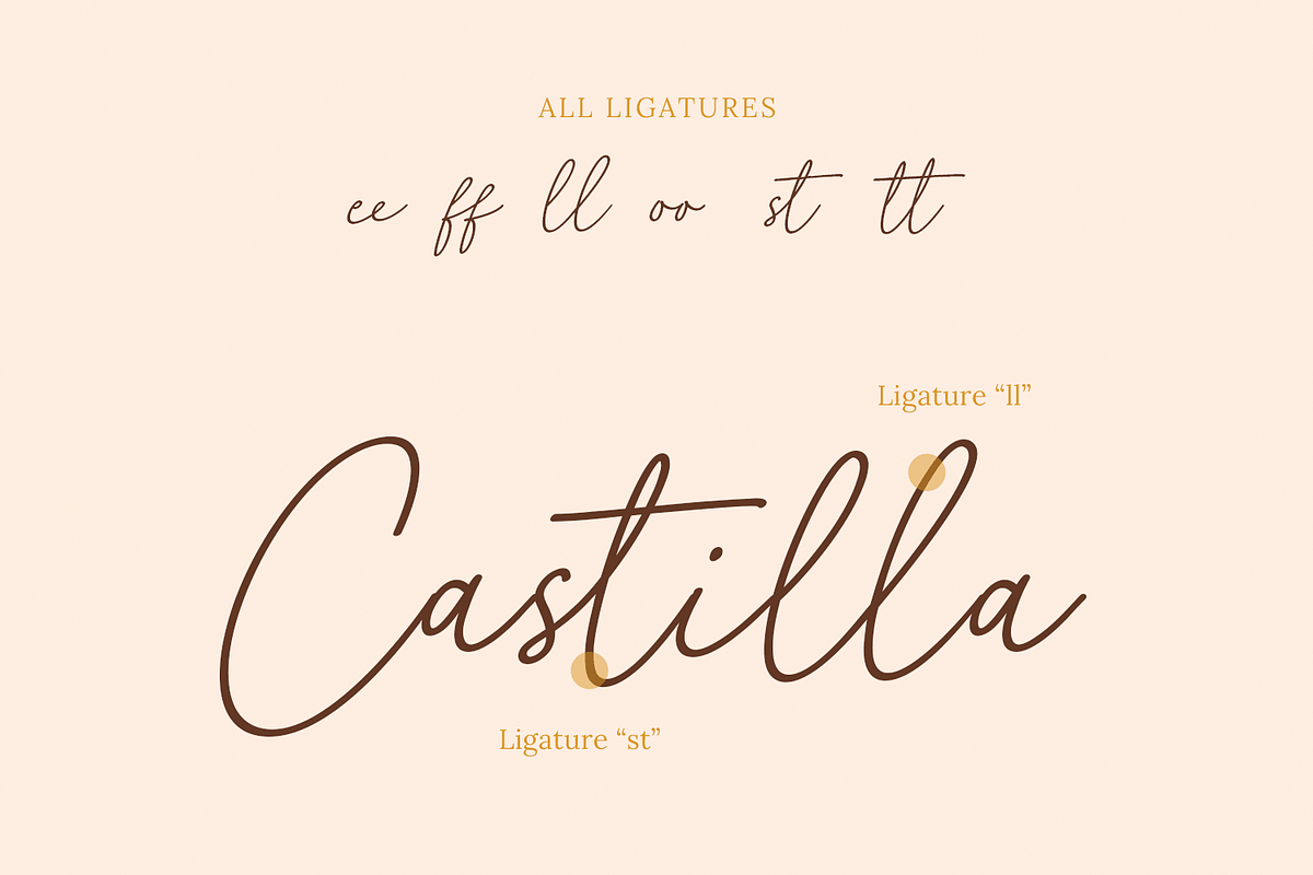 Castilla Signature Handwritten Font, a Handwritten Font by Pixesia Studio (Photo 10 of 10)