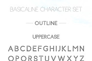 Basicaline Font Family - Sans Serif, a Sans Serif Font by RC graphics (Thumbnail 16 of 21)