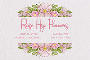 Rose Hip Flowers Clipart, a Decorative Illustration by Milla_Zelenyuk_art (Thumbnail 1 of 7)