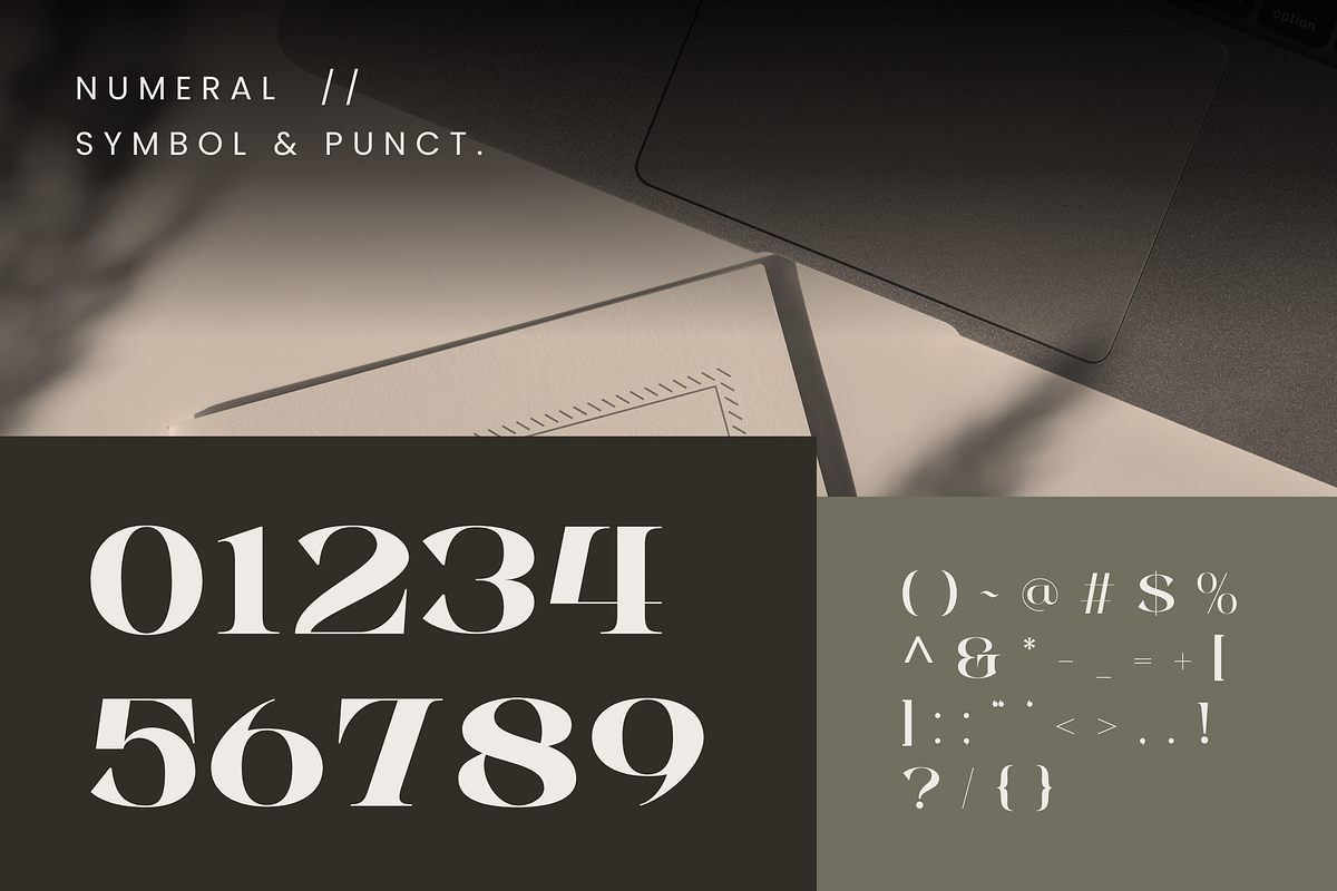 Alrays Bloom - Luxury Logo Font, a Serif Font by Nirmana Visual (Photo 14 of 15)