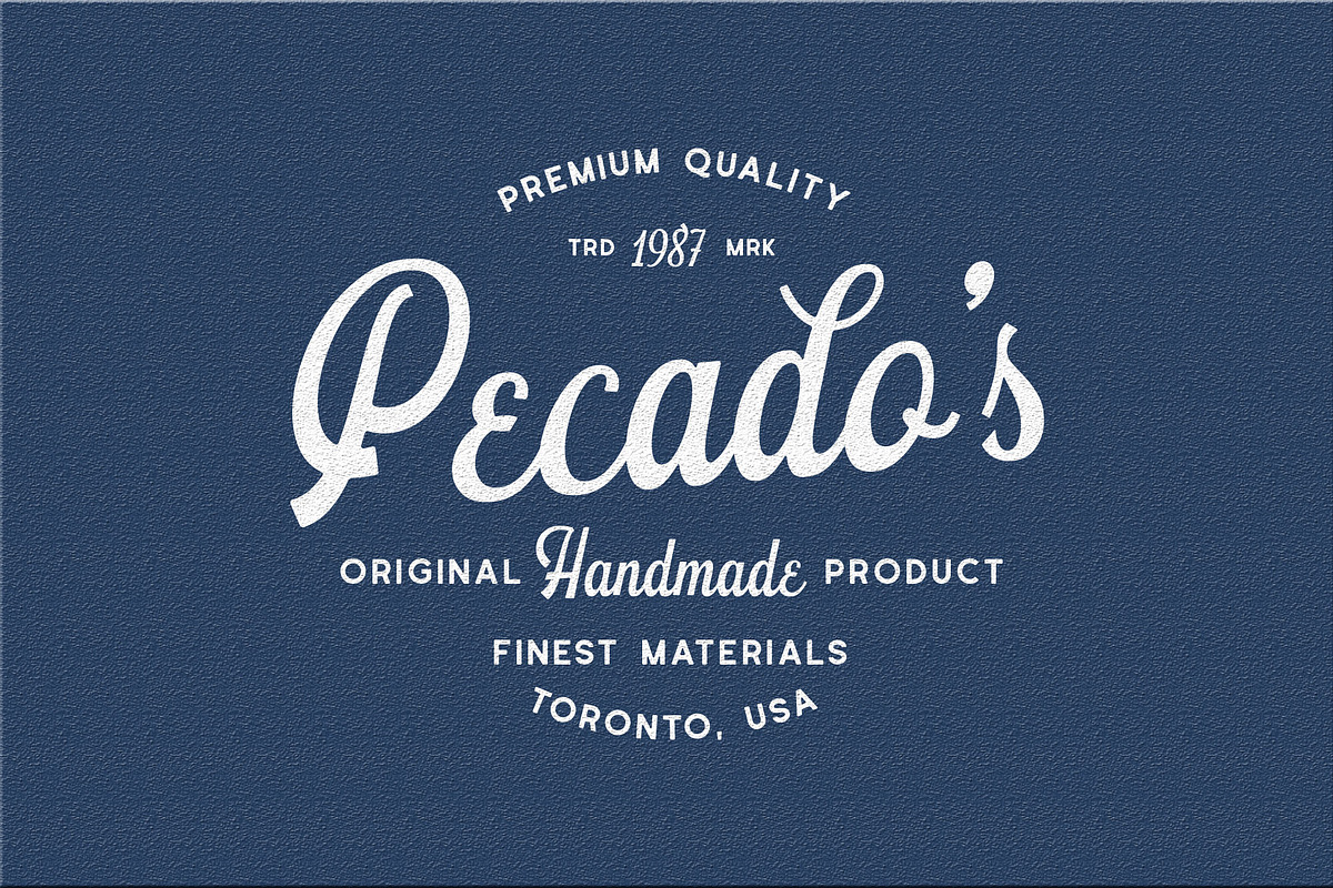 Schramberg Font Duo + Logo Template preview 2
