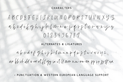 Gulfstream Brush Script, a Handwritten Font by Beck McCormick (Thumbnail 9 of 9)
