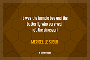 Bumblebee Font, a Sans Serif Font by alpercakici (Thumbnail 7 of 9)