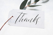 Indulgence Script Font Duo, a Script Font by Creativeqube Design (Thumbnail 10 of 18)