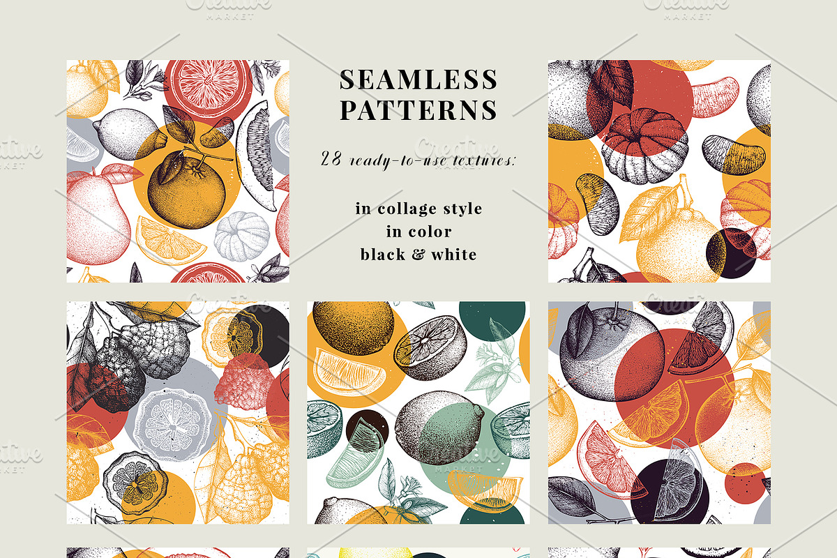 Citrus Fruits Patterns Collection
