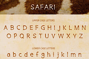 Safari Playful Display Font Typeface, a Sans Serif Font by Porter Fig (Thumbnail 2 of 7)
