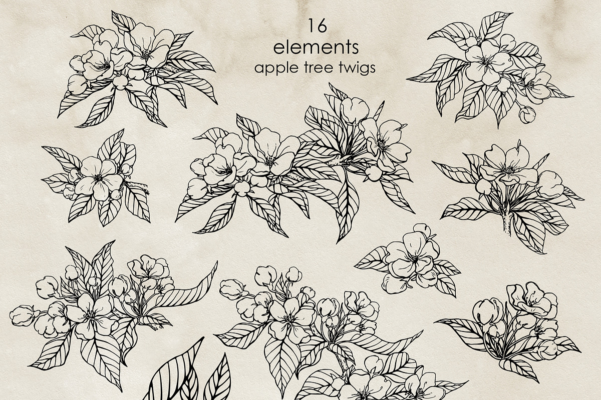 Apple blossom & fruit. Vector set, a Decorative Illustration by ON_lineart_store (Photo 5 of 12)