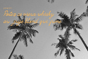 Camarali Script Font, a Script Font by Hishand Studio (Thumbnail 8 of 8)
