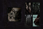 Darkwood Aesthetic Video Bundle, a Social Media Template by The Flossy Finch (Thumbnail 13 of 24)