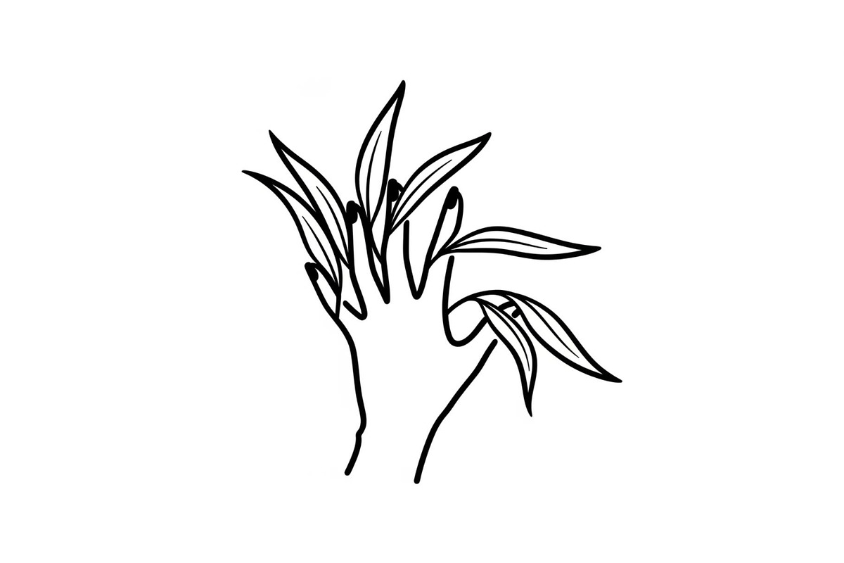 Hand Plant Growth Bundle, an Illustration by yasushie (Photo 25 of 31)