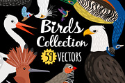 Big set of Different Birds, an Object Graphic by ianakauri (Thumbnail 1 of 8)