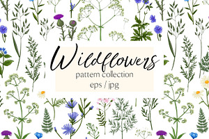 Wild Herbs. Wildflowers Pattern