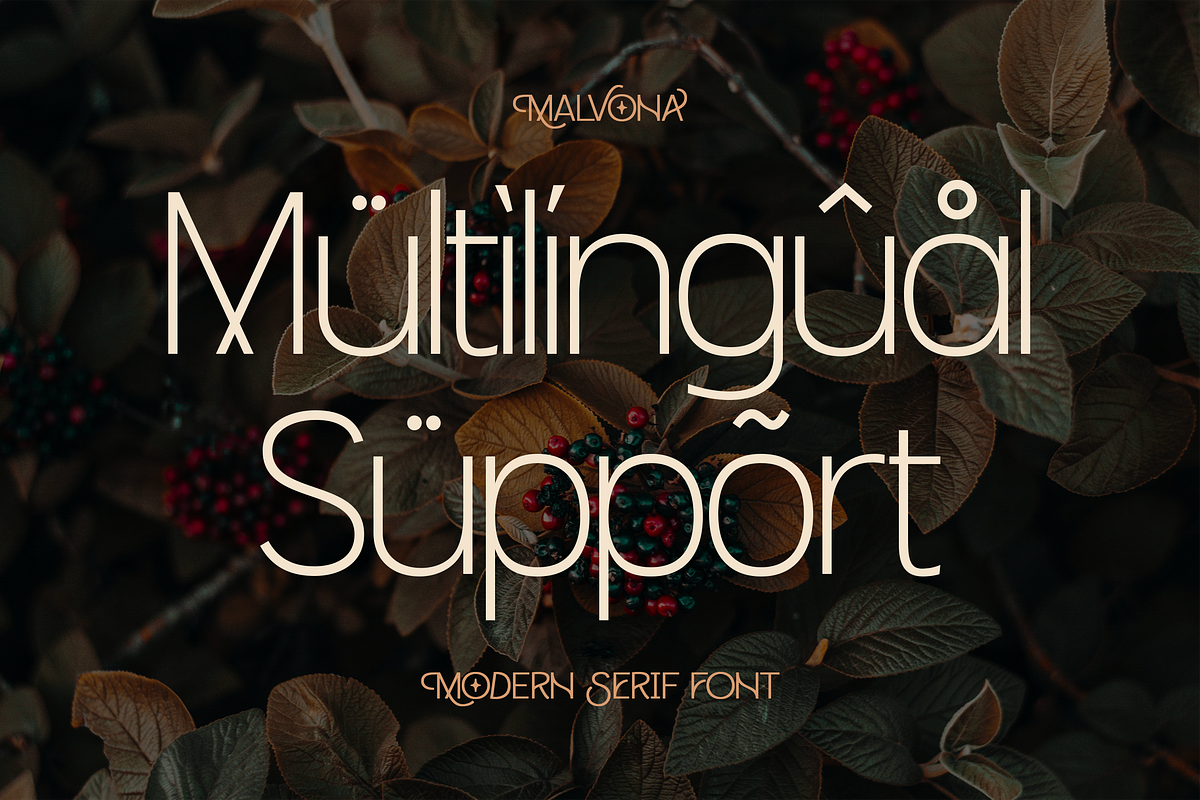 Malvona Stylish Sans Serif Font, a Sans Serif Font by Graphue (Photo 3 of 9)