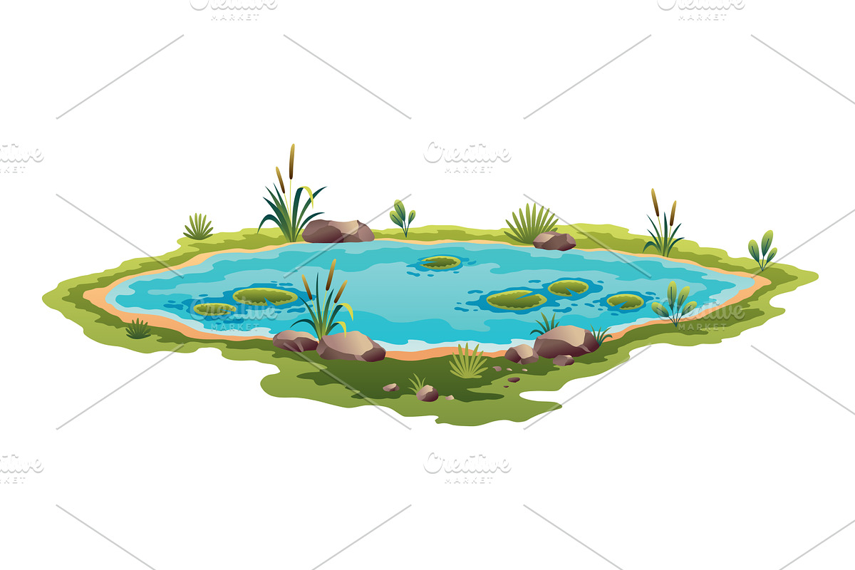 Picturesque natural pond. Concept of, an Animal Illustration by the8monkey