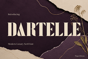 Dartelle - Modern Serif Font Duo