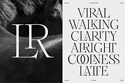 Dupioni Thin - Ligature Serif, a Serif Font by Silktype (Thumbnail 3 of 20)