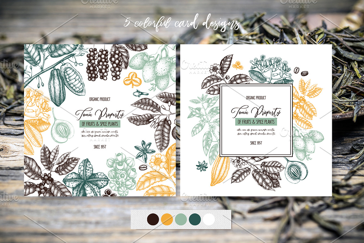 Exotic plant and fruit sketches set, a Food Illustration by Yevheniia (Photo 5 of 11)