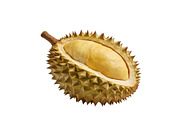 All Fruits Bundle Master Collection, a Food & Drink Photo by FlyeredTemplate (Thumbnail 26 of 130)