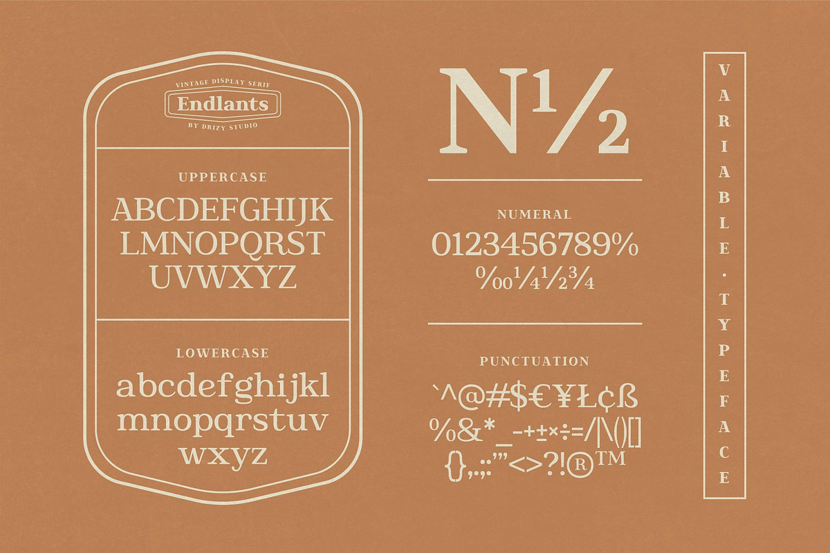 Endlants, a Serif Font by Drizy (Photo 3 of 9)