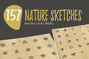 150+ Hand Drawn Nature Sketches, an Illustration by Imagine Design (Thumbnail 1 of 5)