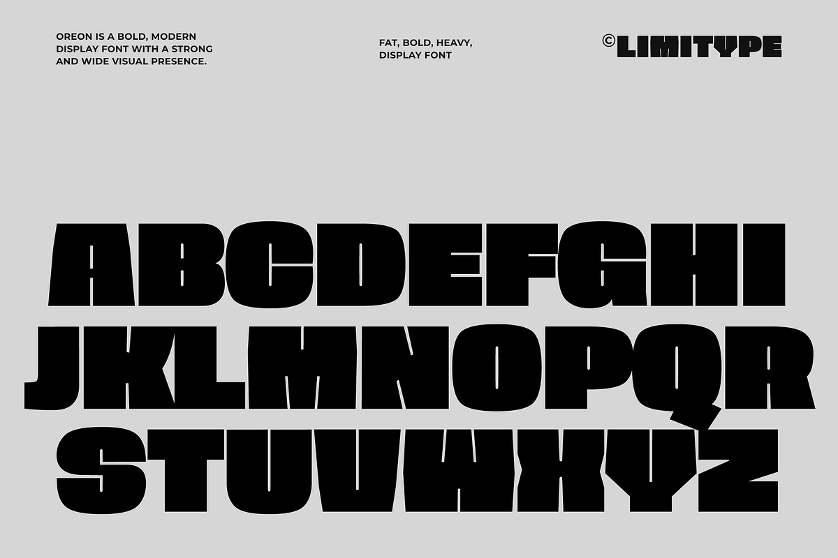 Oreon - Bold Font, a Sans Serif Font by limitype (Photo 12 of 15)