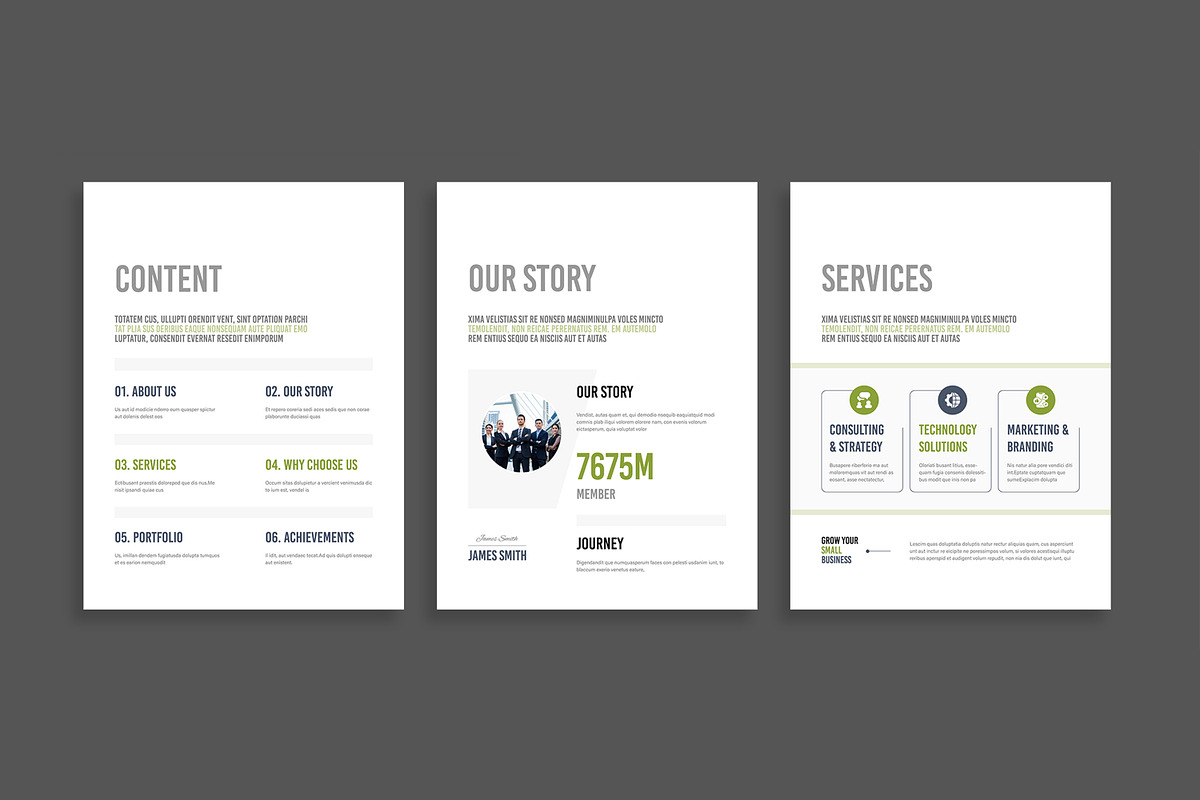 Clean and Business Profile E Book preview 3