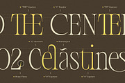The Choirs - Beauty Elegant Ligature, a Serif Font by Typia Nesia (Thumbnail 2 of 16)