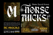 Break Roman Typeface, a Blackletter Font by alit design (Thumbnail 3 of 17)